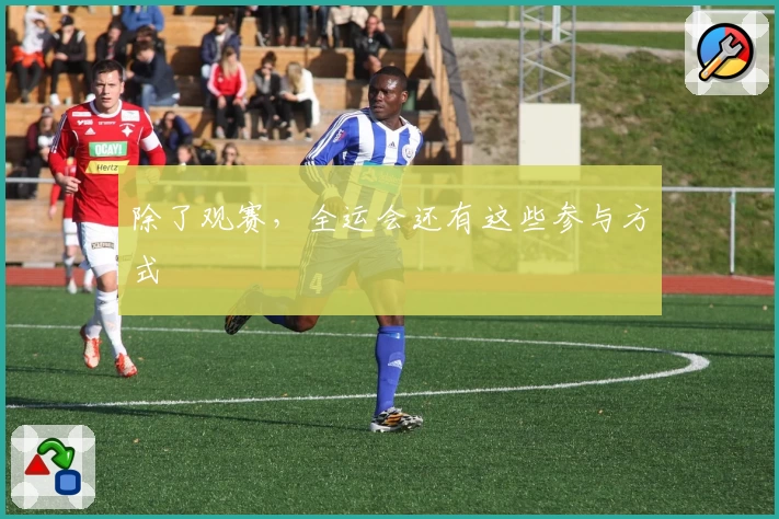 除了观赛，全运会还有这些参与方式