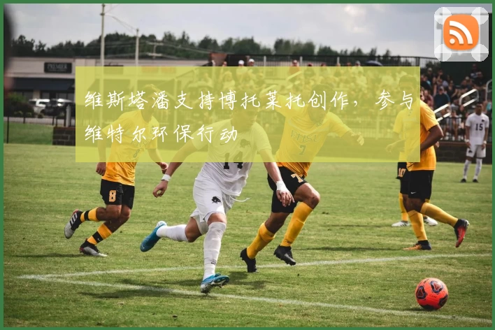 维斯塔潘支持博托莱托创作，参与维特尔环保行动