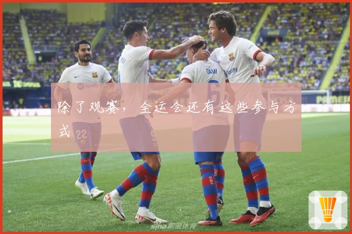 除了观赛，全运会还有这些参与方式