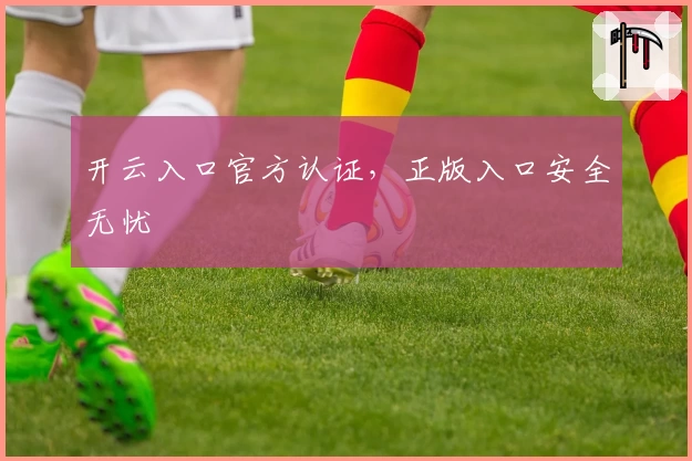 开云入口官方认证，正版入口安全无忧